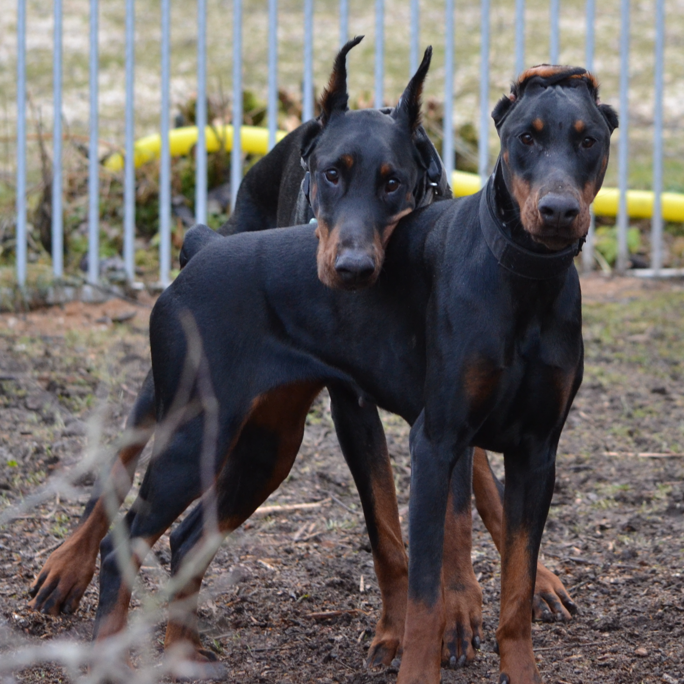 2025-07-10 18_18_37-DSC_0425